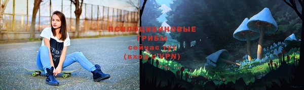 2c-b Бородино