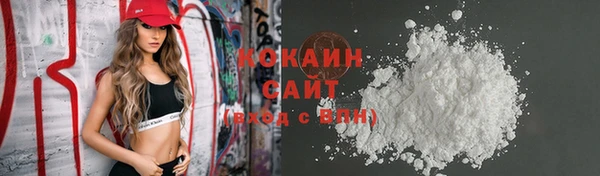 2c-b Бородино