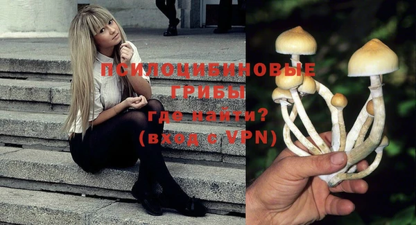 ешки Бронницы