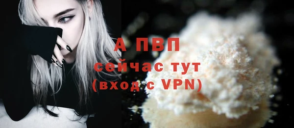 2c-b Бородино