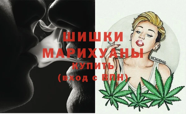 2c-b Бородино